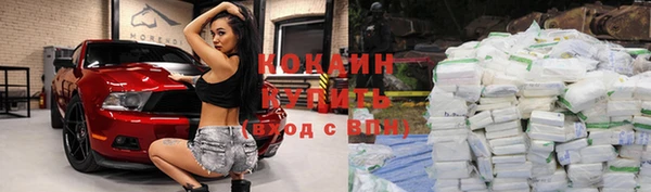 шишки Лагань
