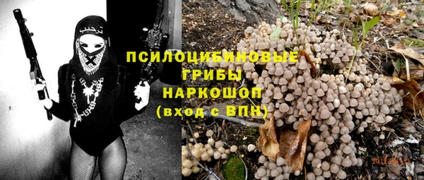 шишки Лагань