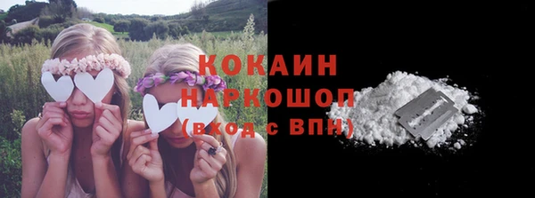 шишки Лагань