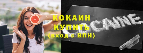 шишки Лагань