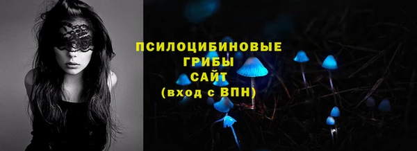 сатива Лабытнанги