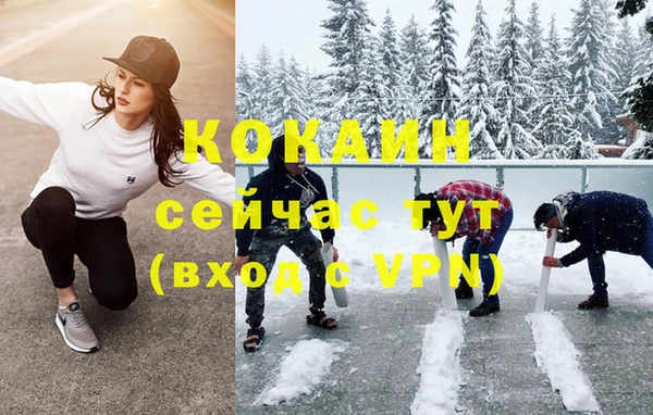 шишки Лагань