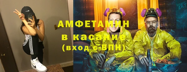 шишки Лагань