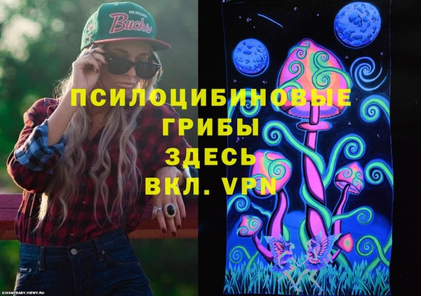 сатива Лабытнанги