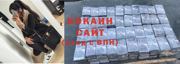шишки Лагань