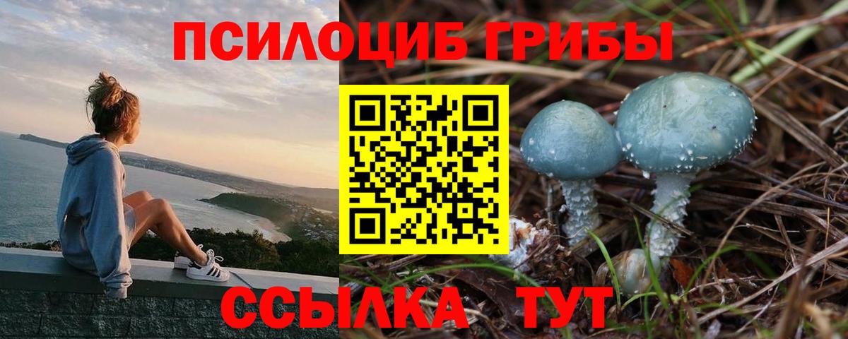Мценск  Псилоцибиновые грибы Cubensis  Вход с VPN  Псилоцибиновые грибы мухоморы 