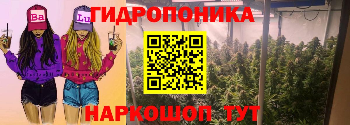 МАРИХУАНА SATIVA & INDICA Мценск